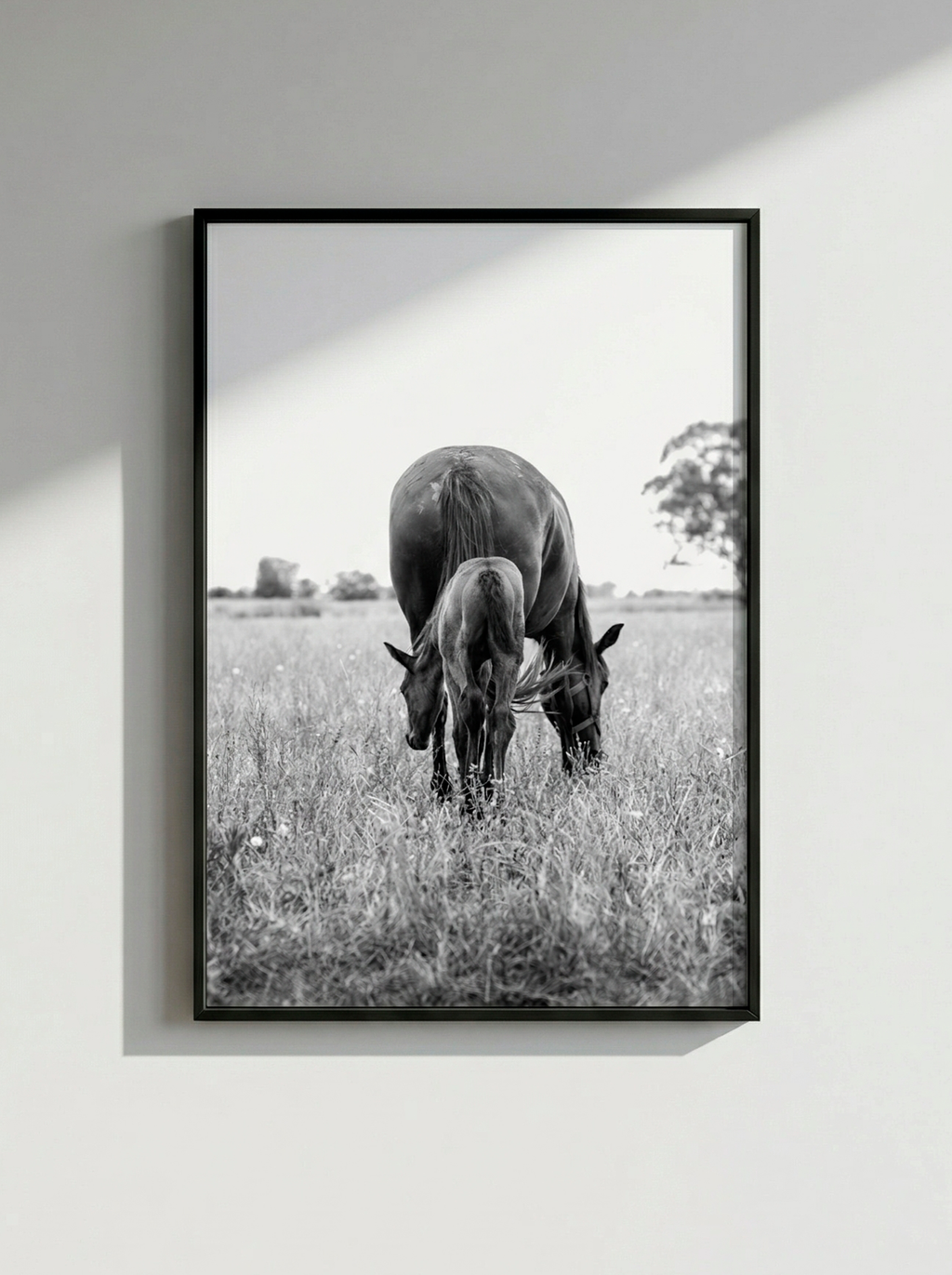 “Primavera” — Serie Campo Argentino — Victoria de Souza