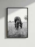 “Primavera” — Serie Campo Argentino — Victoria de Souza