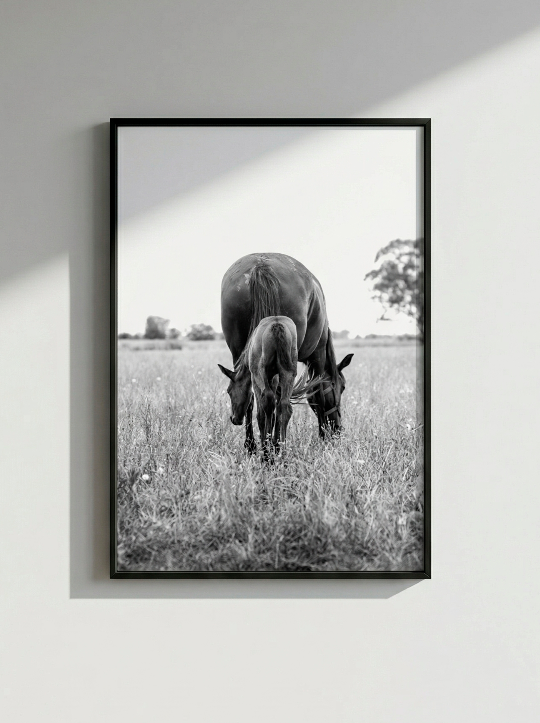 “Primavera” — Serie Campo Argentino — Victoria de Souza