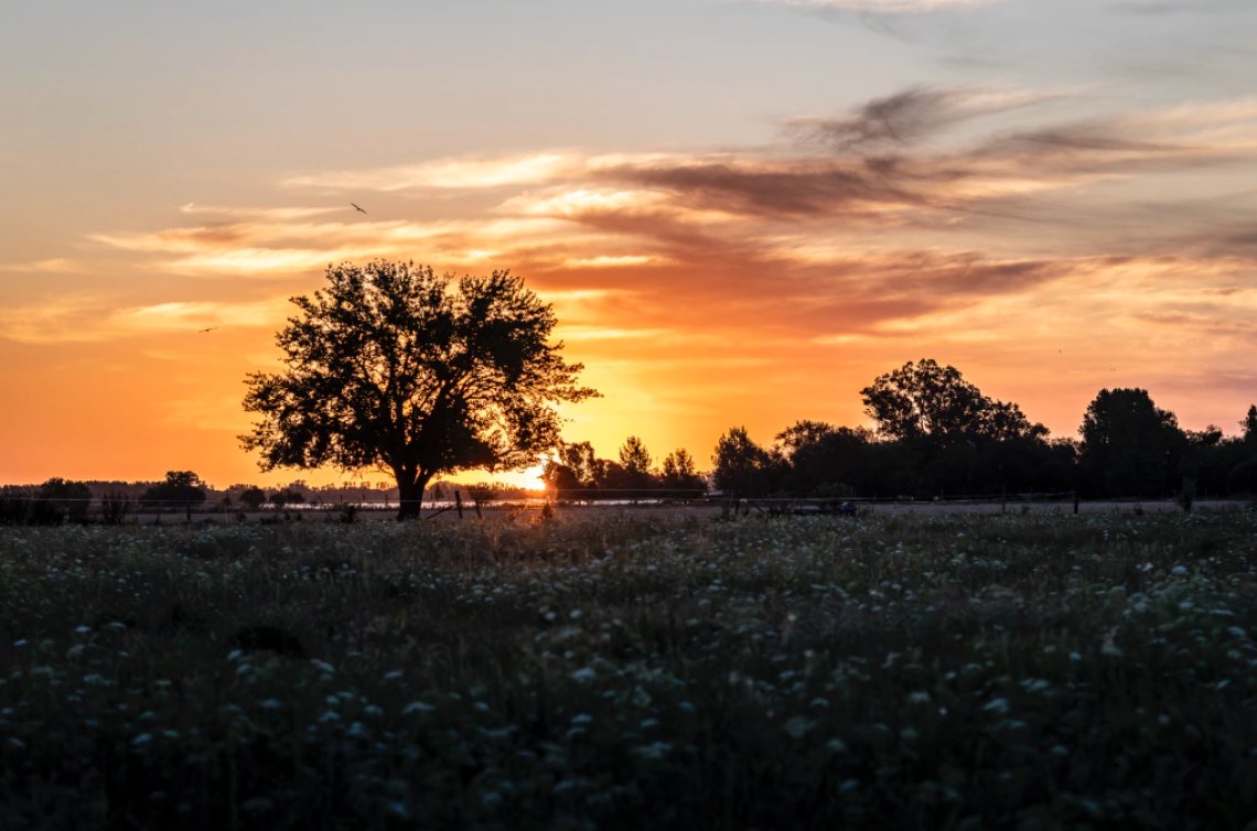 “Atardecer” — Serie Campo Argentino — Victoria de Souza