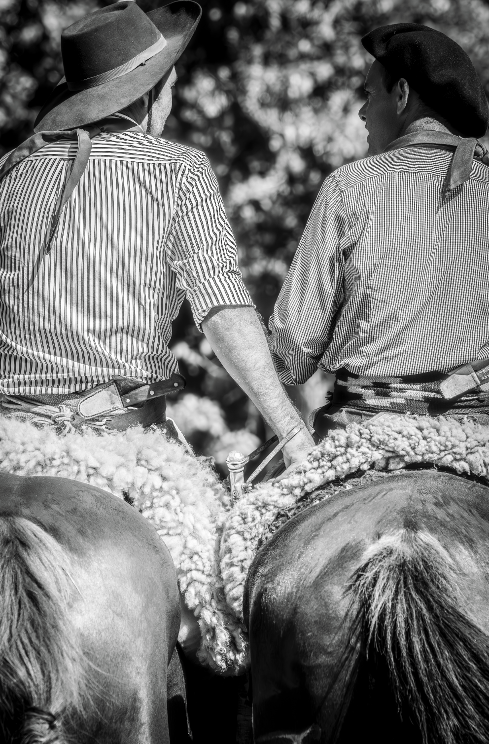 “Diálogo Criollo” — Serie Campo Argentino — Victoria de Souza