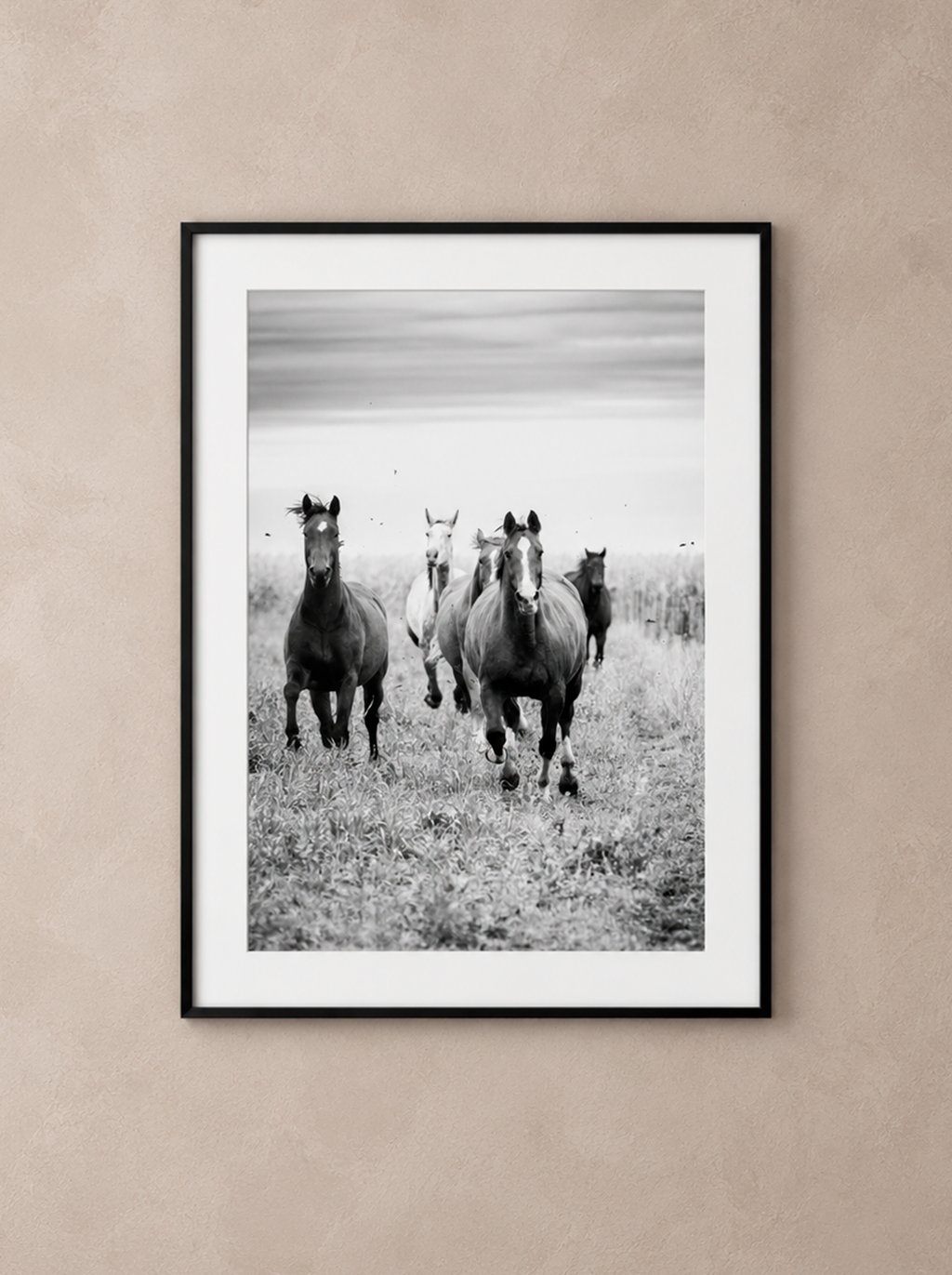 “El Encuentro” — Serie Campo Argentino — Victoria de Souza