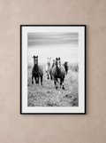 “El Encuentro” — Serie Campo Argentino — Victoria de Souza