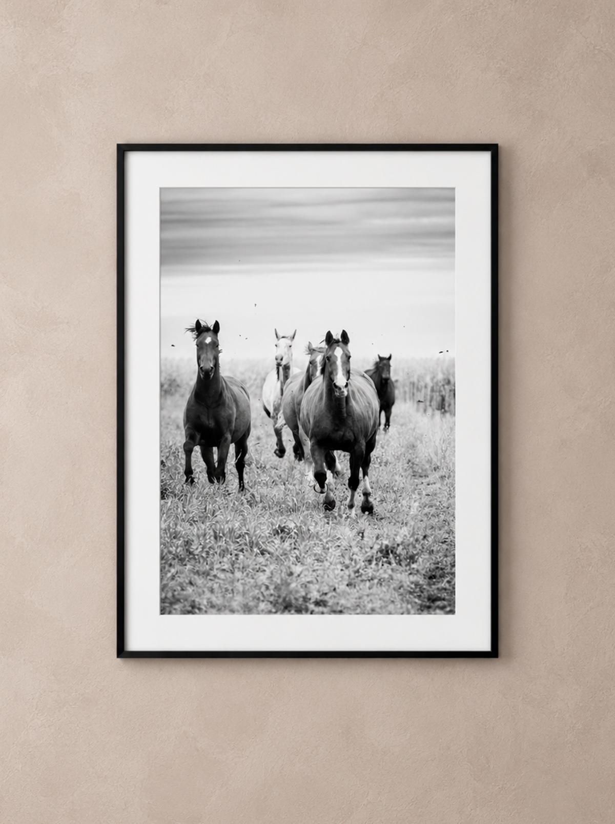 “El Encuentro” — Serie Campo Argentino — Victoria de Souza
