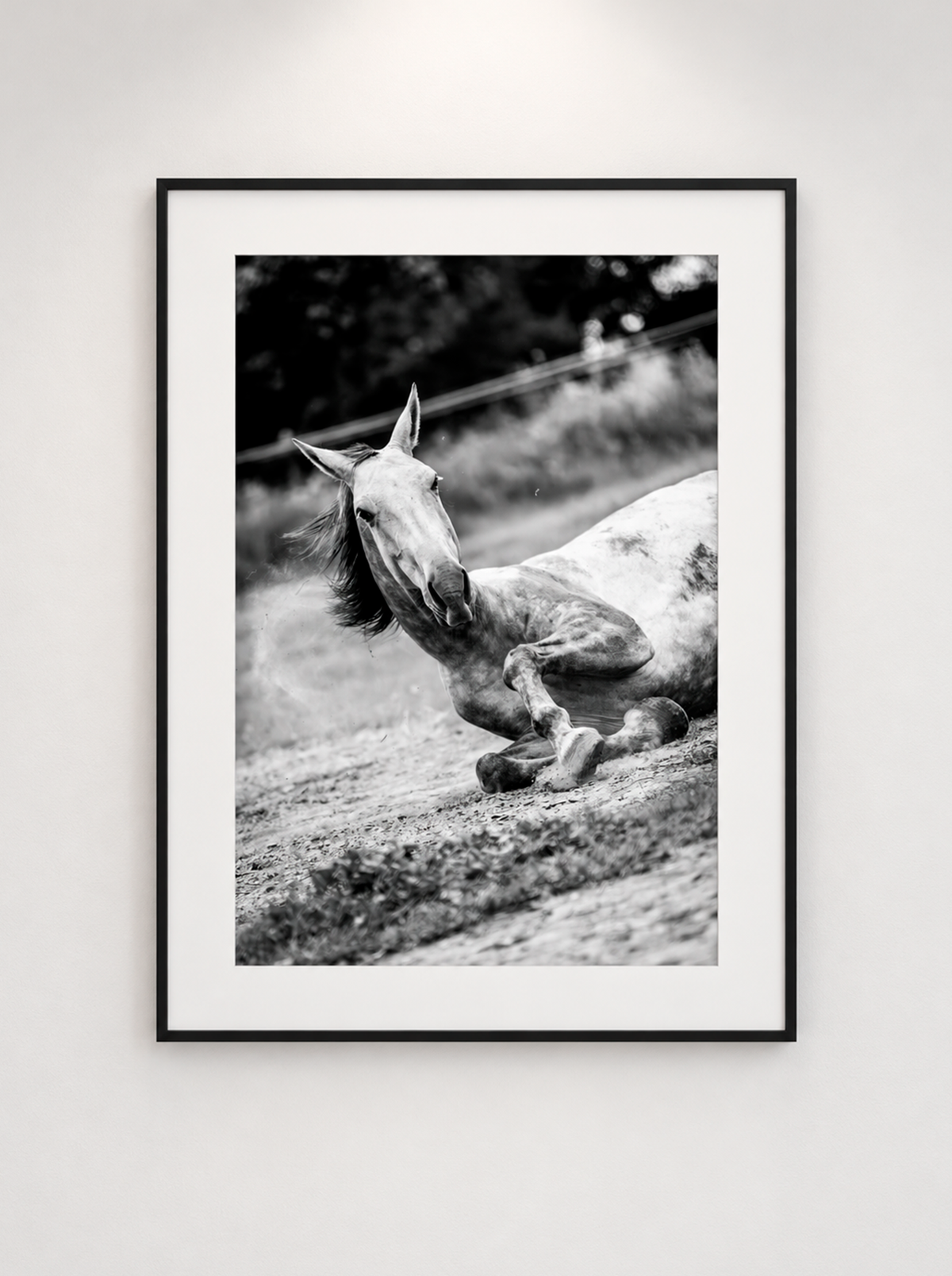 “En La Tierra” — Serie Campo Argentino — Victoria de Souza
