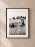 “Entre Pastos” — Serie Campo Argentino — Victoria de Souza