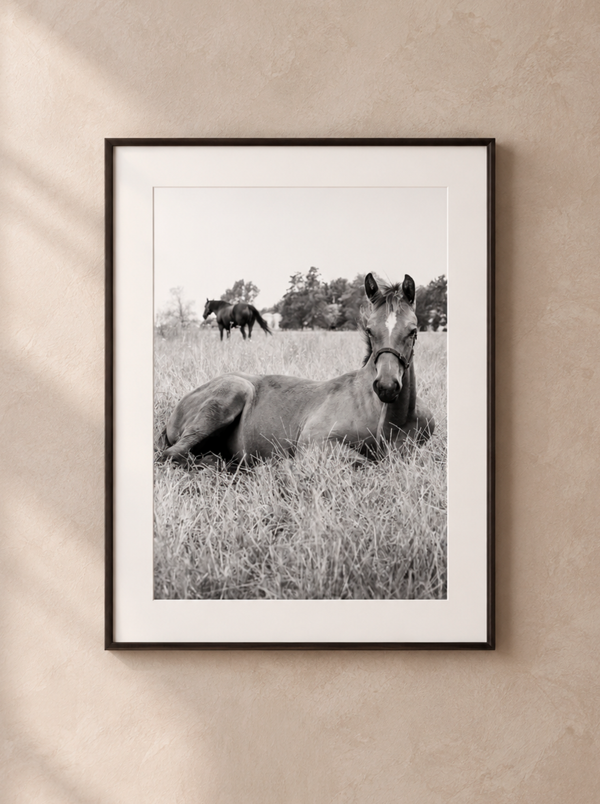 “Entre Pastos” — Serie Campo Argentino — Victoria de Souza