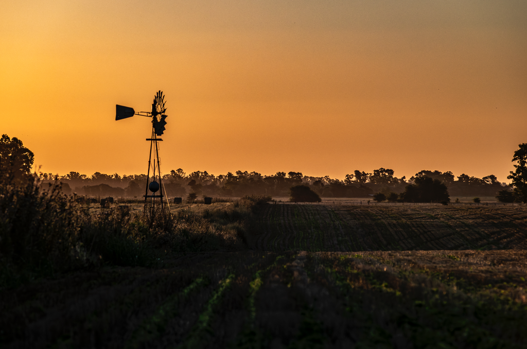 “Horizonte” — Serie Campo Argentino — Victoria de Souza