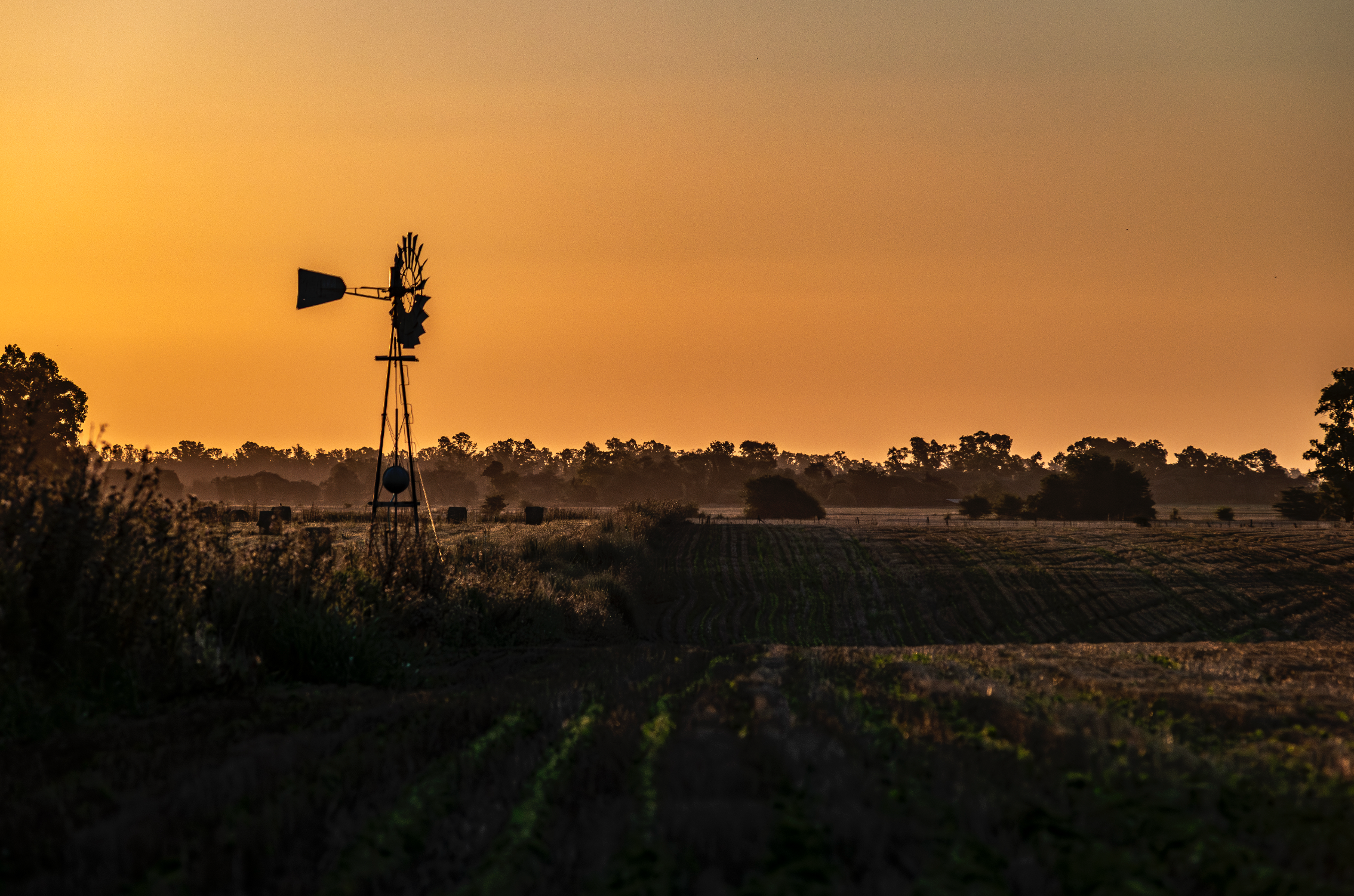 “Horizonte” — Serie Campo Argentino — Victoria de Souza