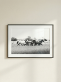 “Manada” — Serie Campo Argentino — Victoria de Souza