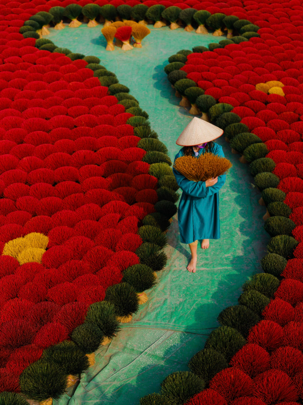 Sendero de Color — Oleh Slobodeniuk