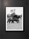 “Dos en Carrera” — Serie Campo Argentino — Victoria de Souza