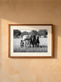 “Familia” — Serie Campo Argentino — Victoria de Souza