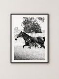 “Junto a Ella” — Serie Campo Argentino — Victoria de Souza