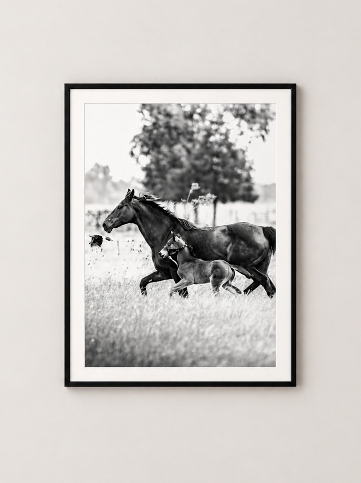 “Junto a Ella” — Serie Campo Argentino — Victoria de Souza