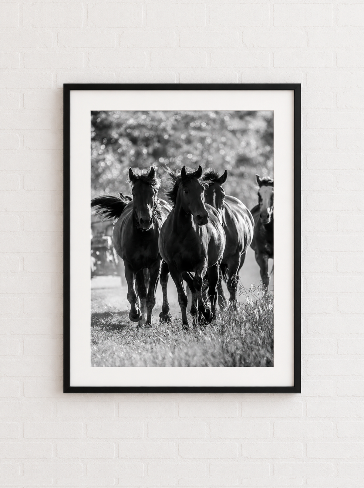 “La Tropa” — Serie Campo Argentino — Victoria de Souza