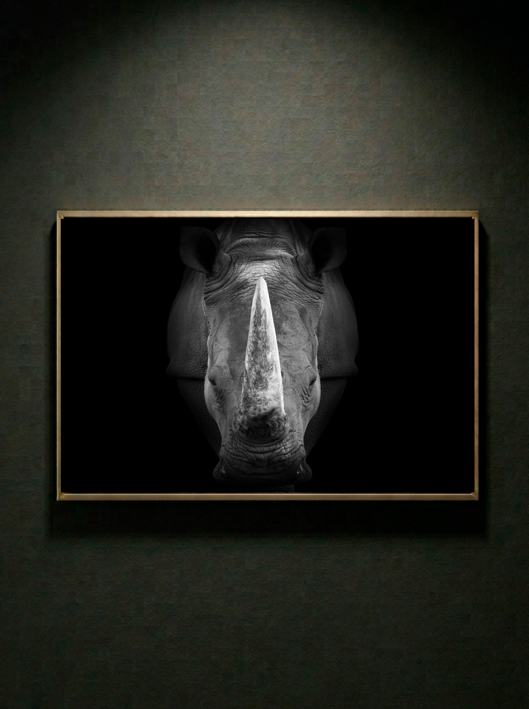 “Silencio Blindado” — Serie Fuerza Animal — Thomas Armeli